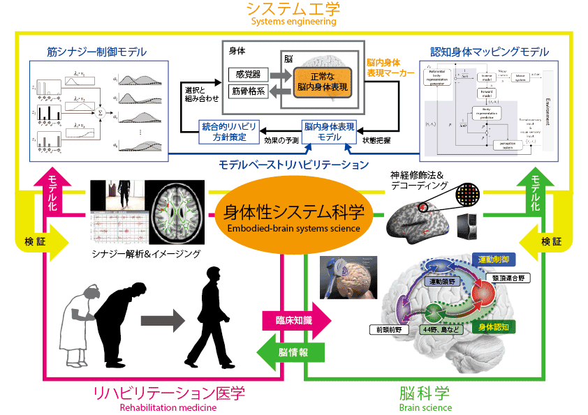 embodied-brain