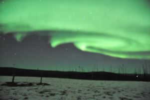 Aurora1