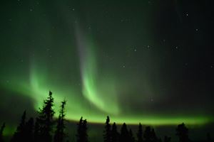 Aurora1