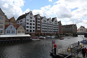IAV2019