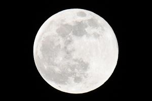 Cold Moon