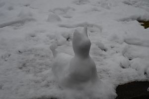HongoSnow