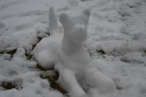 HongoSnow