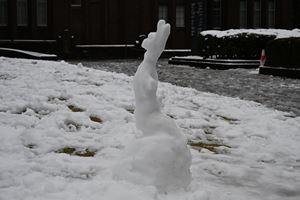 HongoSnow