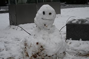 HongoSnow