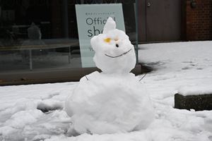 HongoSnow
