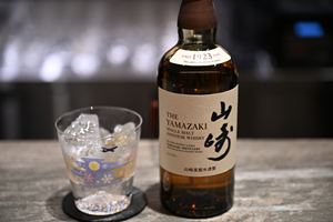 ICNR2024