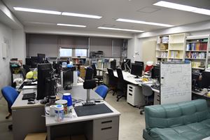 Lab