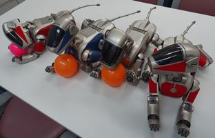 Aibo1
